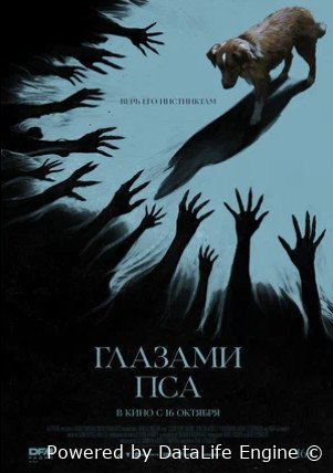 Глазами пса (2025)